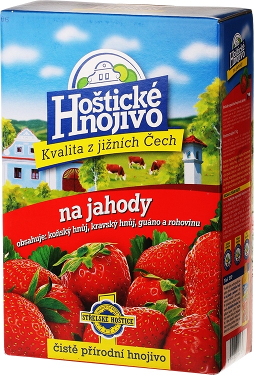 hnojivo na jahody