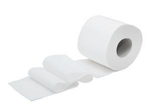 Test DNES: Toaletní papír