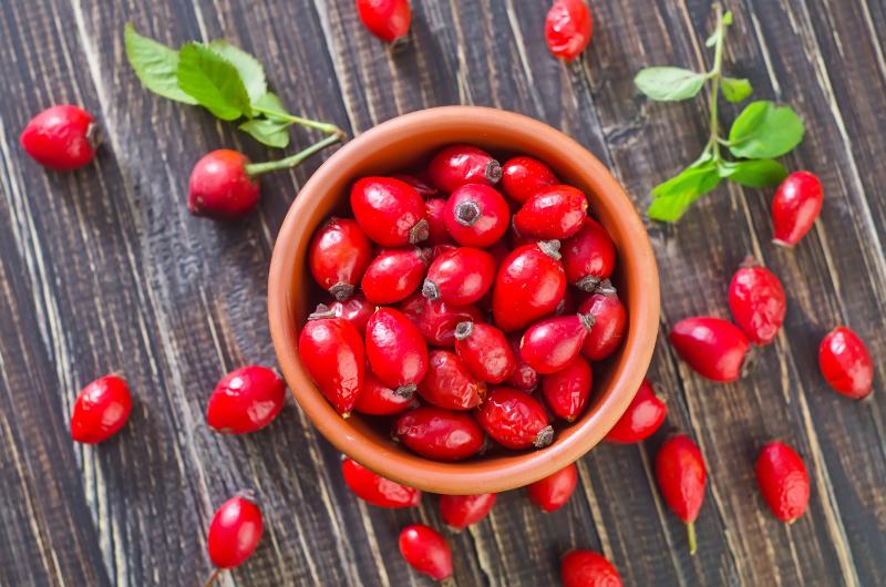 Jak využít šípek a jeho výživové hodnoty během chladných měsíců?