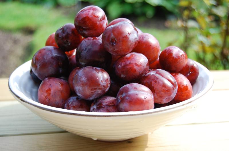 Ovoce, které Češi přehlížejí: Přitom chrání srdce, mozek i prodlužuje život