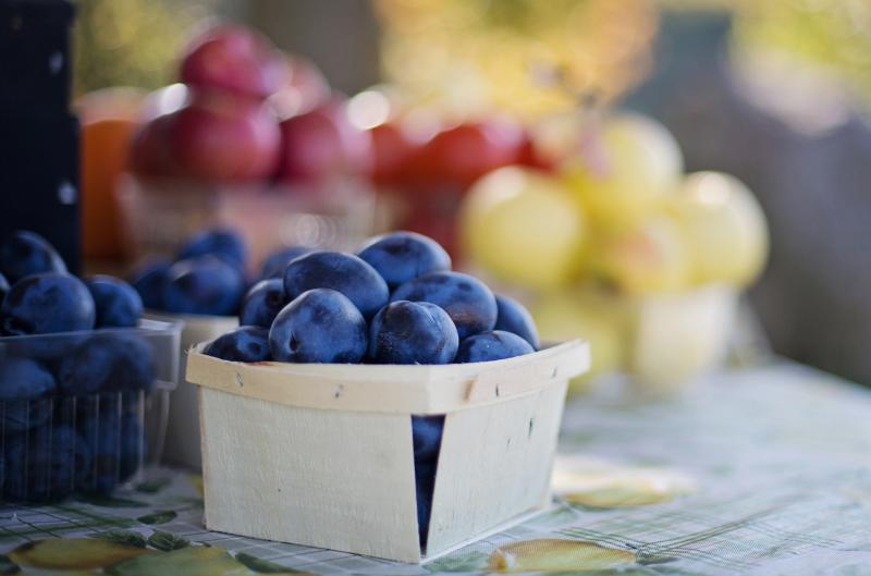Proč se vyplatí jíst švestky během dne? Přínosy pro hubnutí i vitalitu