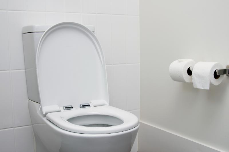 Uslyšela klokotání ze záchodu – když otevřela víko, čekal ji děsivý pohled!