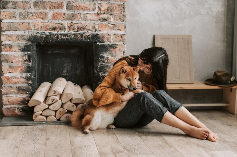 Když vám pes položí tlapku nebo hlavu na nohu: Nejde o náhodu, říká tím víc, než si myslíte