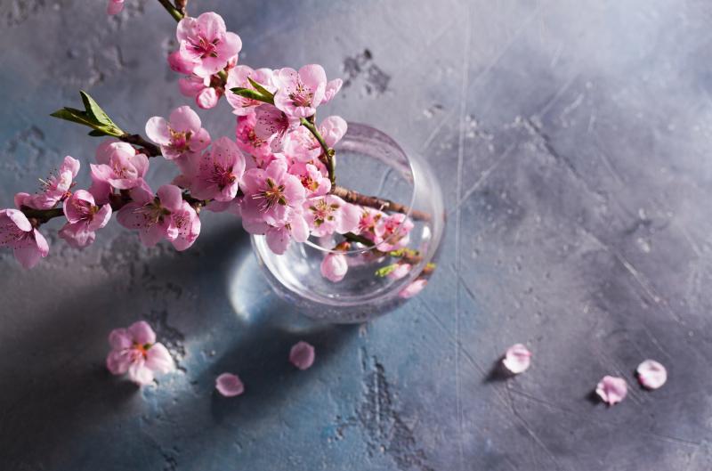 Zapomenuté zvyky svaté Barbory: Jak si dívky kdysi věštily lásku