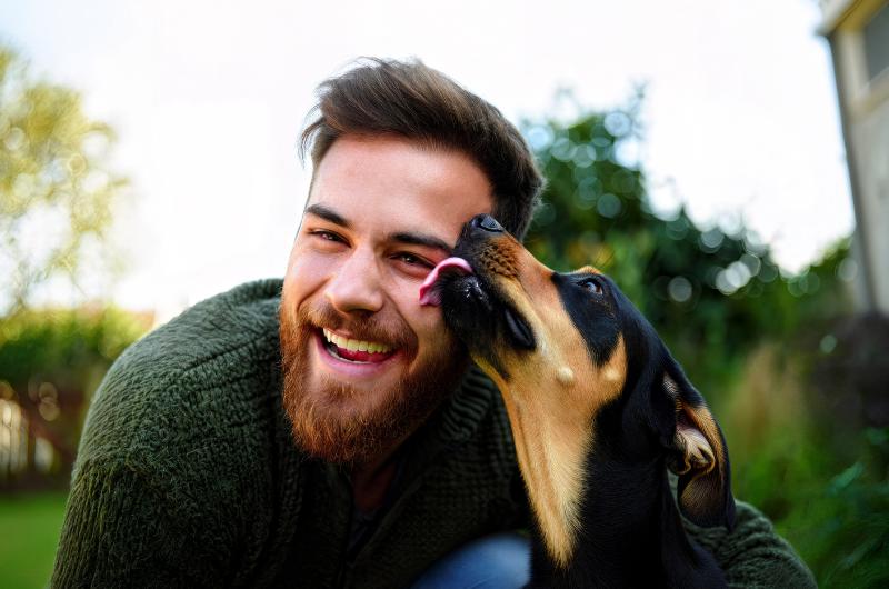 Proč vám pes olizuje obličej? Důvody vás možná překvapí