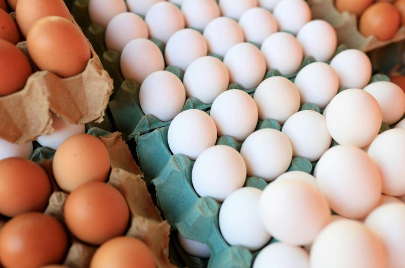 Prázdné krabičky od vajec nevyhazujte: Existují praktické způsoby, jak je využít