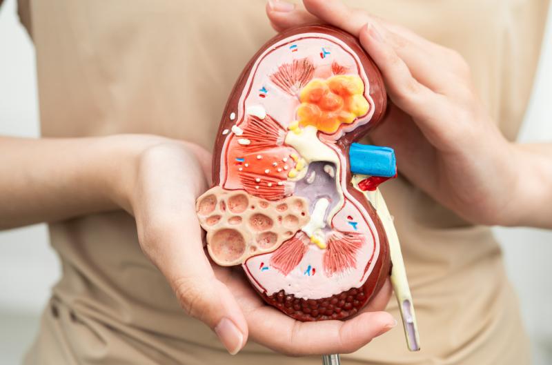 Ledviny po šedesátce: Nejčastější chyba, která zatěžuje ledviny víc než si myslíte