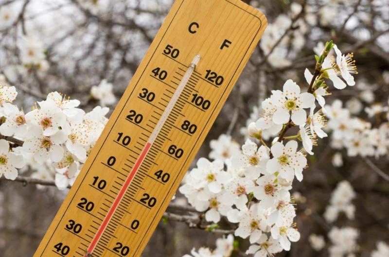 Jaro si v Česku dává pauzu: Duben přinese chladná rána, déšť a pomalejší oteplení