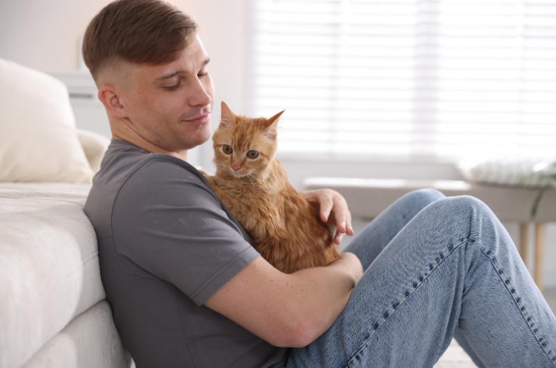 Kočka pozná, že vám není dobře. Těmito nenápadnými způsoby se vás snaží utěšit