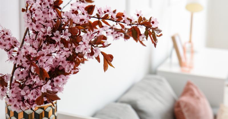 Zapomenuté tradice svaté Barbory: Jak svobodné dívky poznávaly svého ženicha