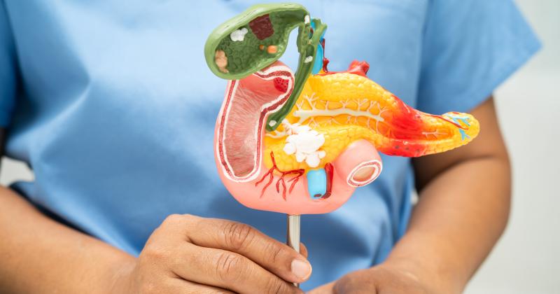 Chronický zánět slinivky břišní: Tichý zabiják, který ničí tělo roky bez varování