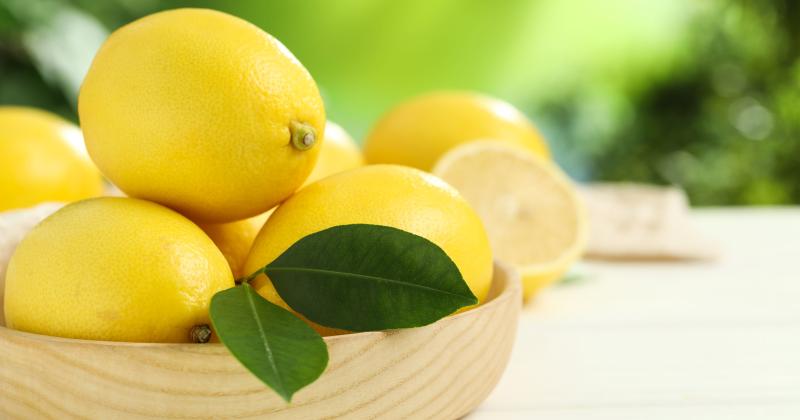 Co se stane s vaším tělem, když budete jíst citrony každý den? Lékaři upozorňují na detail, který většina lidí přehlíží