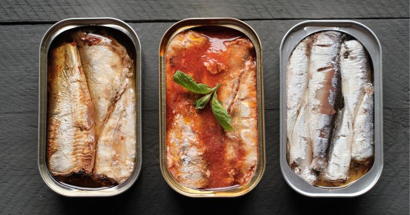 Sardinky vs. ančovičky: Lékaři varují, že jedna z nich tělu škodí víc, než se zdá