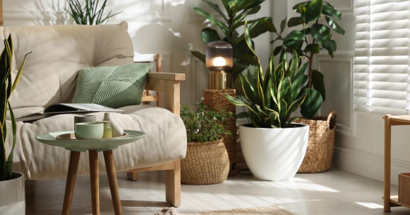 Tyhle chyby v bytě dělá skoro každý. Designéři je poznají na první pohled