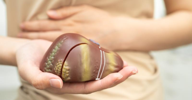 Trávení bez žlučníku: Tělo reaguje jinak, než si myslíte. Tento zvyk dělá většina lidí špatně