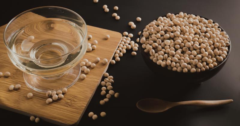 Sójové boby: Superpotravina plná bílkovin, kterou možná podceňujete
