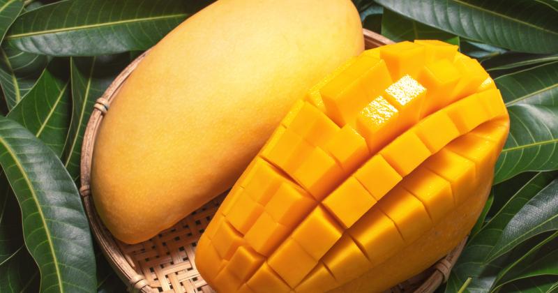 Krájení manga už nebude noční můra: Stačí vám jedna sklenička a 10 vteřin