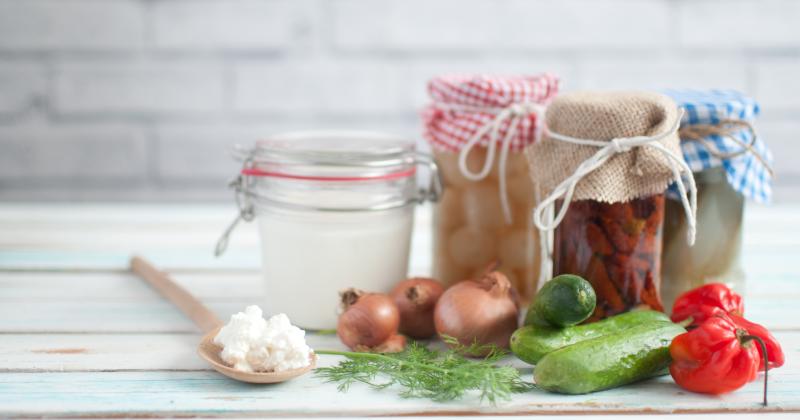 Zapomeňte na drahé pilulky. Proč jsou kvašené okurky pro vaše střeva víc než doplňky z lékárny?