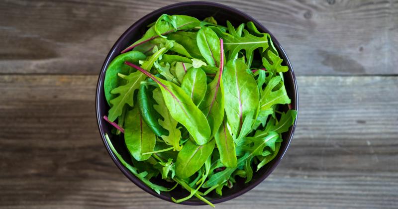 Rukola vs. špenát: Která zelenina je bezpečnější při problémech s ledvinami?