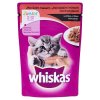 Whiskas kapsičky 100g, vybrané druhy