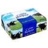 Créme Bonjour Roztíratelný směsný tuk 250g