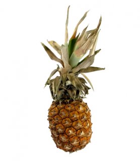 Ananas Ananas