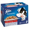 Felix kapsičky pro kočky 12x100g, vybrané druhy