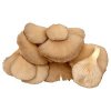 Hlíva ústřičná volná 1 kg