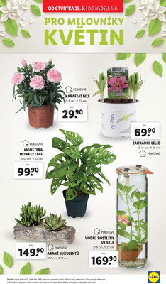 Lidl Čtvrtek od 26.5. do 1.6.2025
