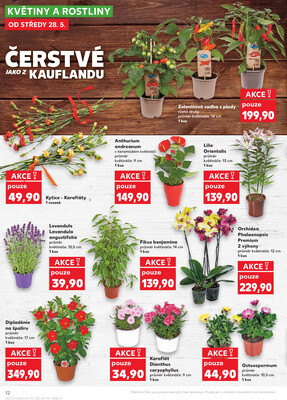 Kaufland 28.5. - 3.6. - Kaufland České Budějovice II - Milady Horákové