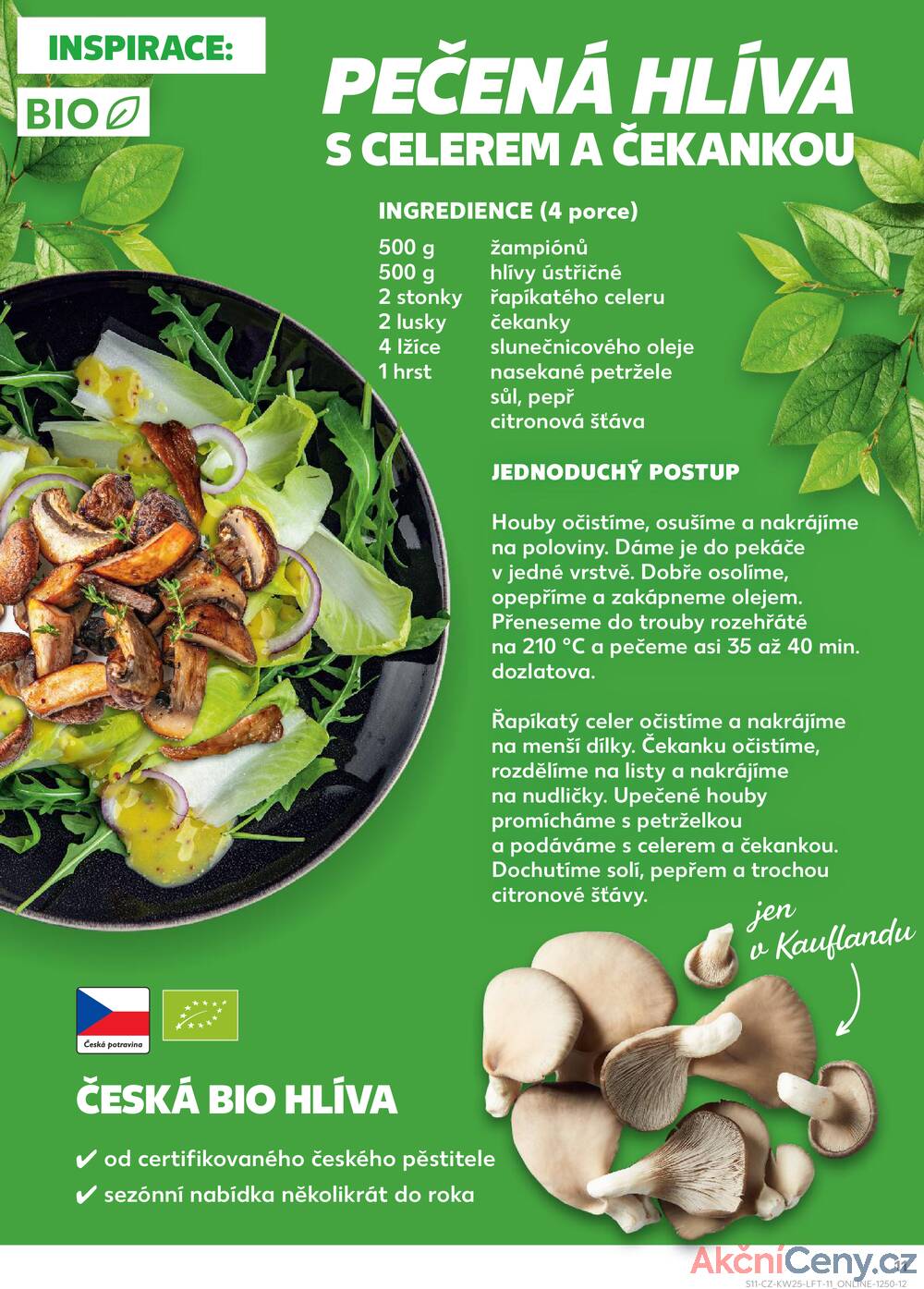 Leták Kaufland - Kaufland 18.6. - 24.6. - Kaufland - Prachatice - strana 11