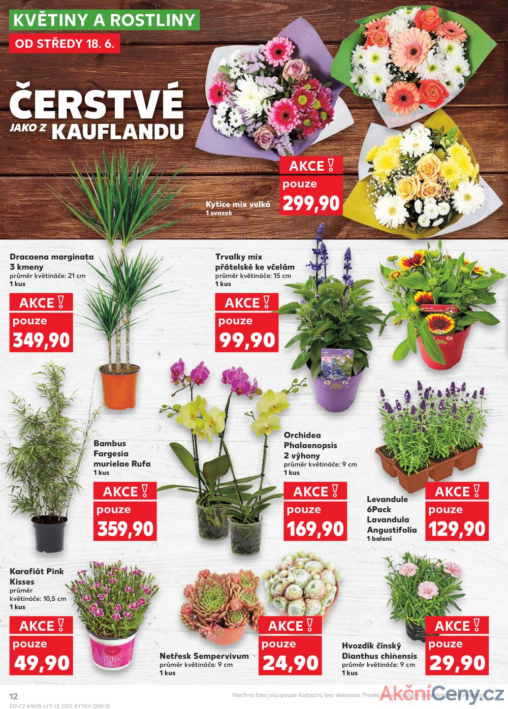 Leták Kaufland - Kaufland 18.6. - 24.6. - Kaufland - Prachatice - strana 12