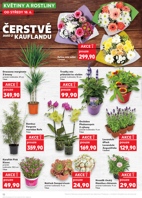 Kaufland 18.6. - 24.6. - Kaufland - Česká Lípa