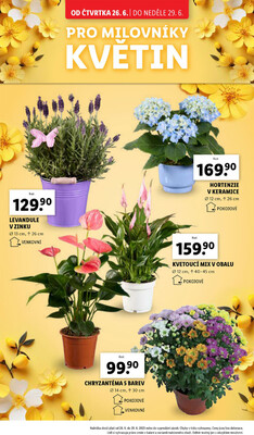Lidl Čtvrtek od 26.6. do 29.6.2025
