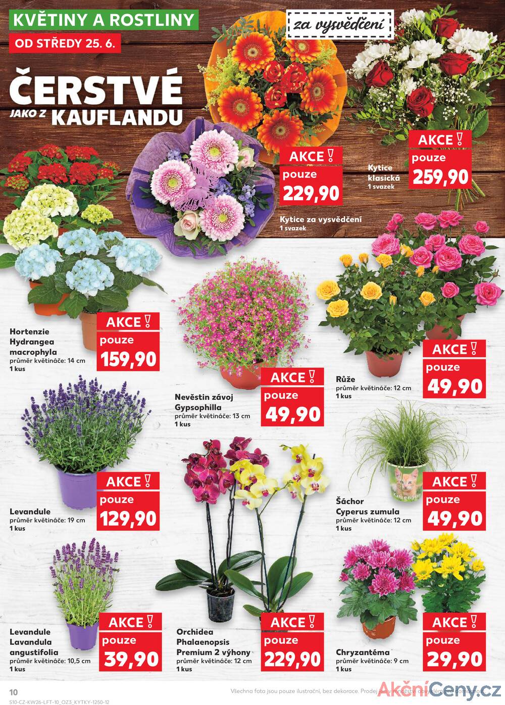 Leták Kaufland - Kaufland 25.6. - 1.7. - Kaufland - Litoměřice - strana 10
