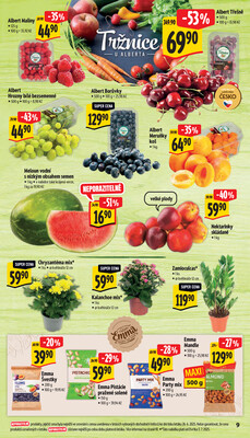 Albert Supermarket od 2.7. do 8.7.2025