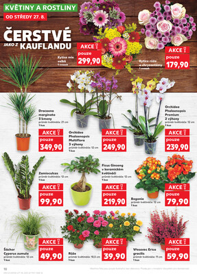 Kaufland 27.8. - 2.9. - Kaufland Praha-Barrandov