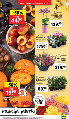 Lidl Čtvrtek od 4.9. do 7.9.2025