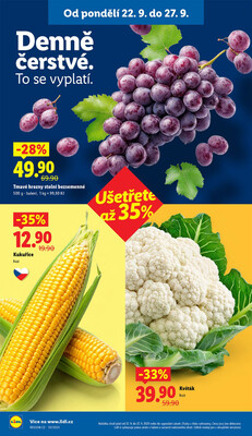Leták Lidl
		  platný do 24.9.2025 - strana 14