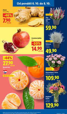 Lidl od 6.10. do 8.10.2025