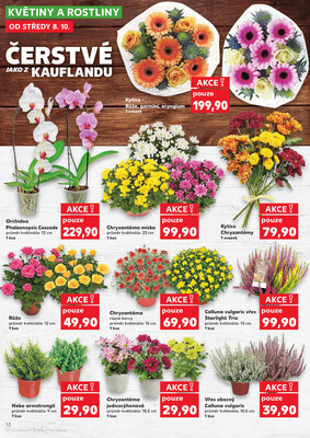 Kaufland 8.10. - 14.10. - Kaufland - Brno - Slatina