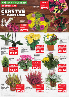 Kaufland 15.10. - 21.10. - Kaufland - Rychnov nad Kněžnou