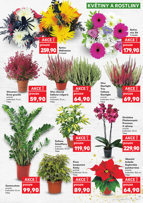 Kaufland 28.10. - 4.11. - Kaufland Turnov Sobotecká