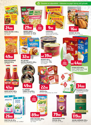 Trefa od 5.11. do 11.11.2025