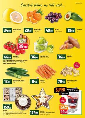 Terno České Budějovice, Hradec Králové, Olomouc, Třeboň, Trhové sviny, Bechyně, Týn nad Vltavou od 19.11. do 25.11.2025