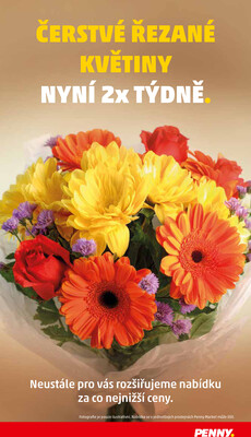 Penny Market od 4.12. do 10.12.2025