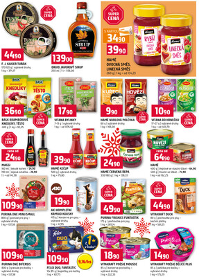 Terno České Budějovice, Olomouc, Hradec Králové, Třeboň, Trhové sviny, Bechyně, Týn nad Vltavou od 10.12. do 16.12.2025