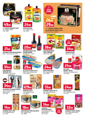 Terno České Budějovice, Olomouc, Hradec Králové, Třeboň, Trhové sviny, Bechyně, Týn nad Vltavou, Borovany od 2.1. do 6.1.2026