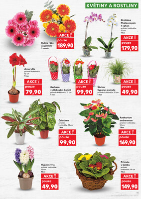 Kaufland 2.1. - 6.1. - Kaufland - Praha 3 (Jarov)