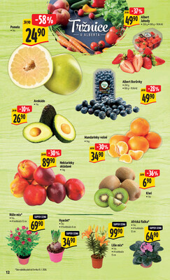 Albert  Hypermarket od 14.1. do 20.1.2026